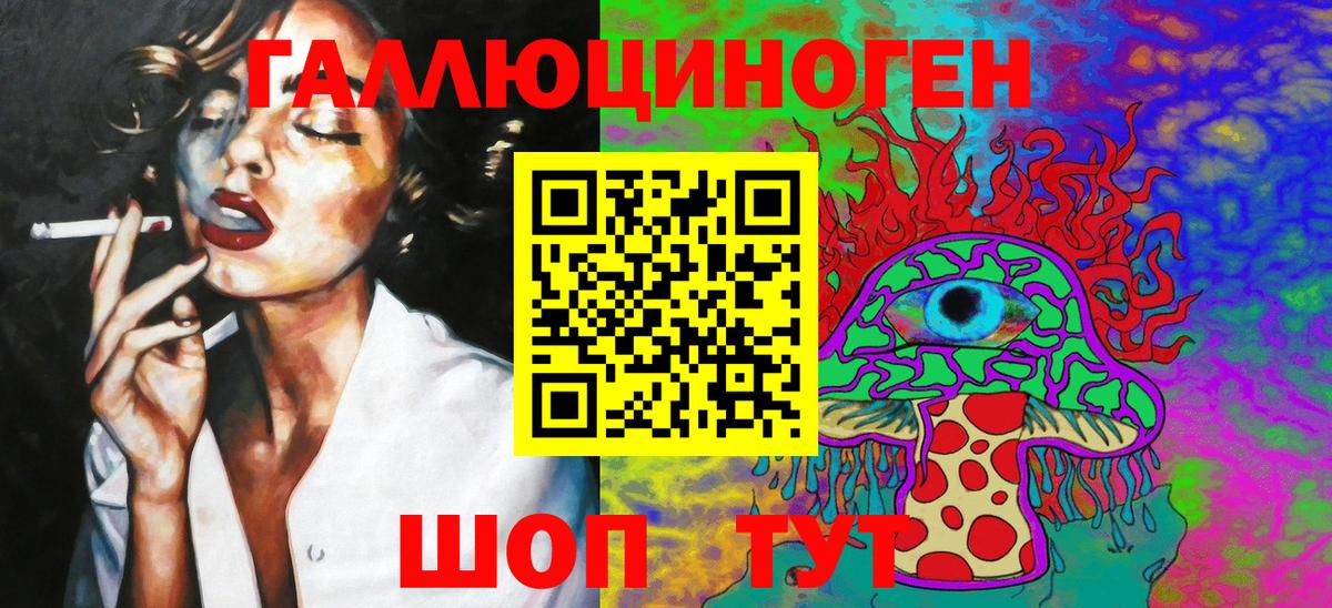 Галлюциногенные грибы Psilocybine cubensis  Вход с VPN  Ипатово 